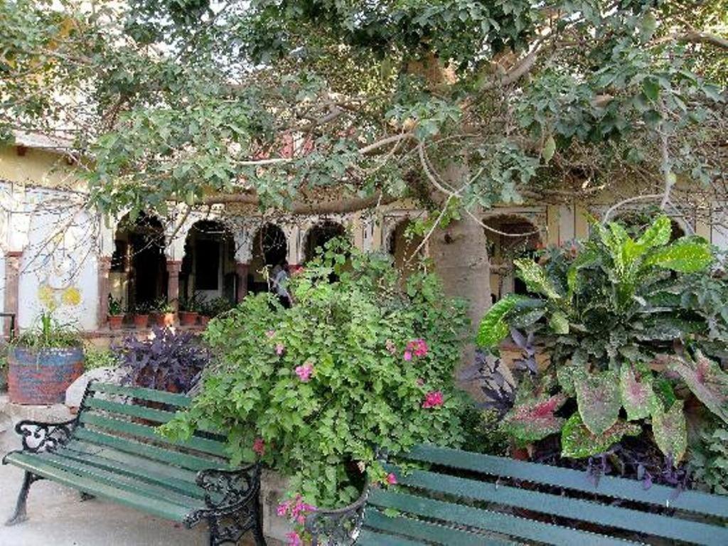 Bassi Fort Palace Chittorgarh Buitenkant foto